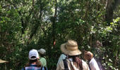 Boaler IDs South Florida Plants on Everglades Trip