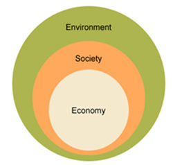 Sustainability Studies: Thriving in the Anthropocene Era