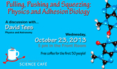 Science Café: Pulling, Pushing and Squeezing: Physics and Adhesion Biology with David Tees, Oct. 23
