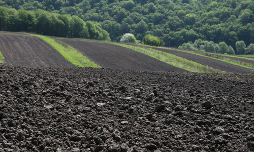 How Much Appetite Does Soil Have for Climate Change?
