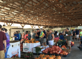 OHIO to Begin Purchasing from Chesterhill Produce Auction, OHIO Student Farm