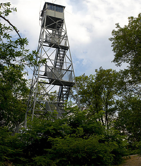 Fire Tower at Bernheim Arboretum and Research Forest