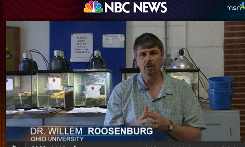 NBC News: Roosenburg Gives Turtles Headstart in Maryland Classrooms
