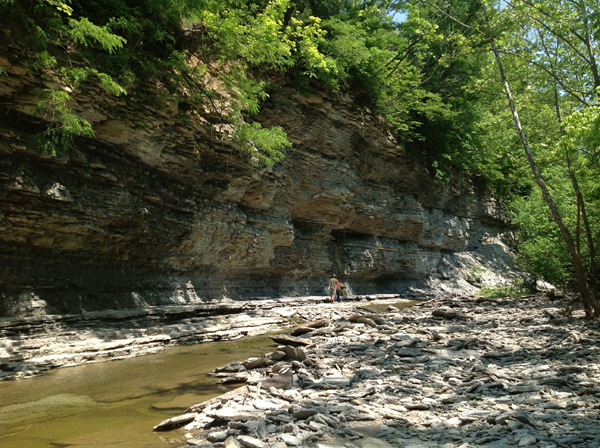 This cliff in Morrow, Ohio, offers clues to the ancient invasive species puzzle. Image: Alycia Stigall.