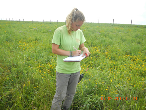We identified the vegetation to species level at various areas within the plot.