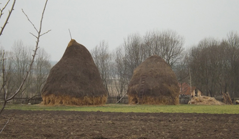 Haystacks near the western Romanian village of Charlottenburg.