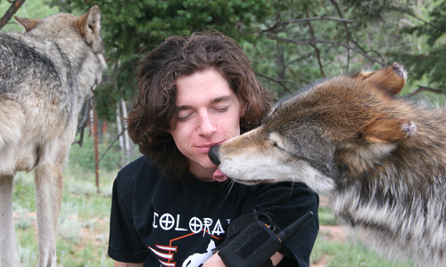 Keara, an Alaskan Interior wolf, kisses John Buffington, with Micah, a timber wolf, watching.