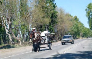 Horse cart vs car