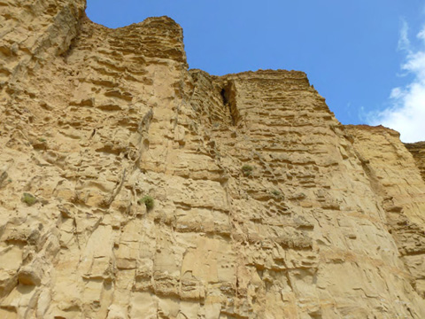 West Cliff, Jurassic Bridport Sandstone, Wessex Basin, southern England. Carbonate cementation along discrete layers and lenses as well as concretions in homogeneous, shallow to shelf marine sandstones. Photo taken August 2014 by Beth Gierlowski-­‐Kordesch.