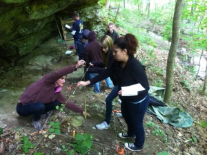 Students work at Patton Cave site during Field School. Photo courtesy of Lauren Johnson.