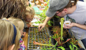 Plant Biology Graduate Students Take Outreach to Community