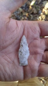Quartz point Pat Leary found at the end of last field season.