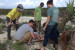 Plant Biology Students Find 2 Species New to Island in Bahamas