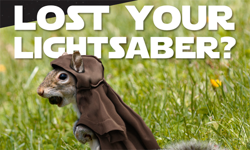 Lost your Lightsaber? Don't go Nuts. Find Your Force. Find an internship. Get a Job. Get your resume in Bobcat CareerLink. www.ohio.edu/cas/careers