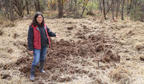 Professor Molly Gurien shows off a finished vernal pool.