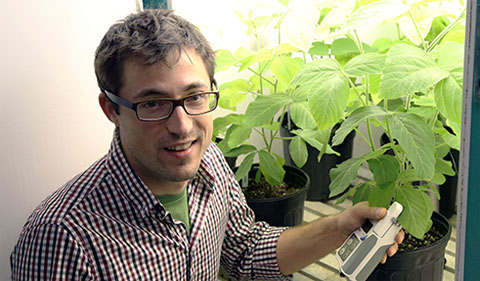 Nicholas Tomeok monitors the health of soybean plants, his research subjects for several studies, as they grow in environmentally controlled chambers.