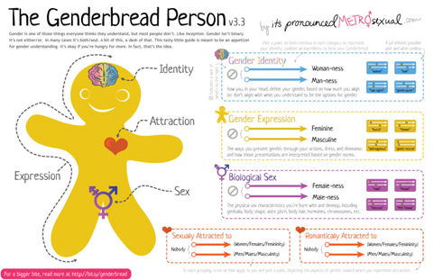 Genderbread person graphic explains identity, attraction, expression and sex, in relation to femine and masuline, woman-ness and man-ness. 