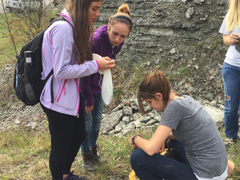 Kiera Leighty, Leisa Berry, and Maureen Fastzkie collect shallow marine fossils near Maysville, KY.