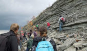 Students explore outcrop in search of fossils.