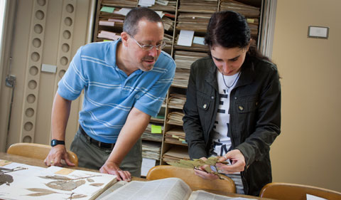 Harvey Ballard and Juliana De Paula Souza examine a specimen in the Floyd Bartley Herbarium.