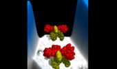 Chemistry Nobel Prize Topic Resonates with OHIO Researchers