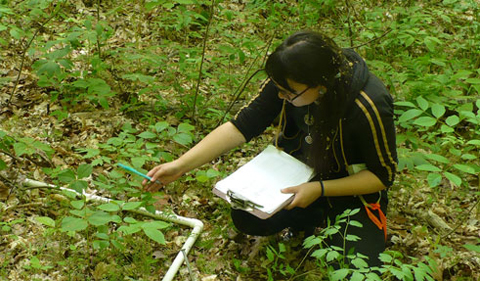 Marion Holmes in the field, studying plant growth