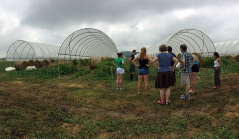 Summer 2016 interns tour a local farm, with high tunnels in the background.