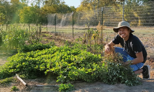 Jordan Francisco with peanut plants at the Plant Biology Learning Garden