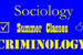 Summer 2017 | Online Sociology, Criminology Classes