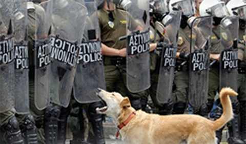 Political Theory and the Animal Human Relationship book cover, with dog barking at riot police.