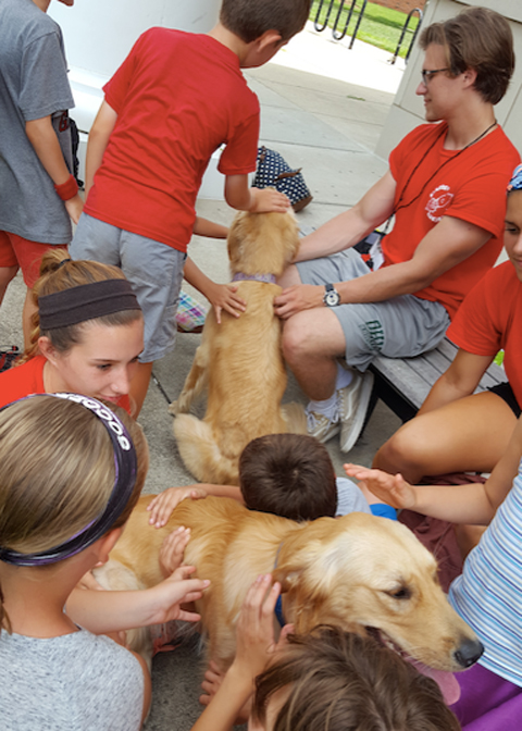 The campers enjoy petting dogs during recess.