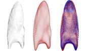 Scientists analyzed three-dimensional models of Clovis projectile points from Smithsonian and other museum collections to examine how patterns and marks made in crafting these tools began to vary regionally 12,500 years ago. These regional differences signal cultural diversification and adaptation, suggesting that groups of early hunter-gatherer Americans may have changed the way they were social interacting at this time. This figure shows one analysis used to study shapes left behind from their production on either side of the projectile points. Credit: Sebastian Wärmländer, Stockholm University