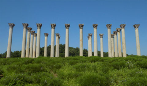 Capitol columns at the US National Arboretum