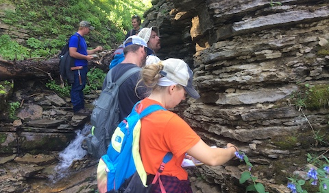 Geology students analyzing sedimentary rocks, students in the foreground at outcropping.