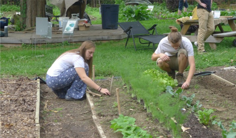 Students in PBIO 2060 tending garden plots