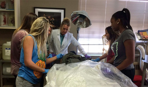 Instructor Jodie Foster and students in the Anatomy Learning Center. Students Pictured: Hannah Soltis, Morgan Olczak, Domonique Esposito, Mallorie Wells, Shalyn Foster