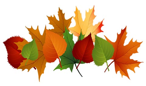 clip art image of fall leaves