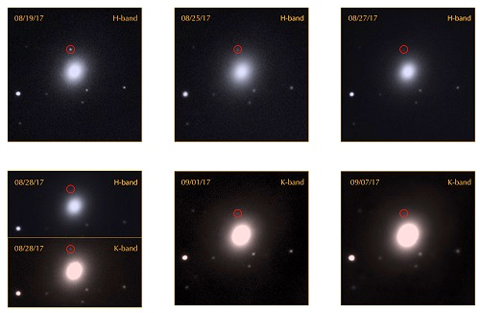 The image sequence above shows infrared imaging from the FLAMINGOS-2 imager and spectrograph for a period of over two weeks. The top row features images in the h-band, a shorter (bluer) wavelength of infrared light. The bottom row focuses mostly on k-band images, which are longer (redder) wavelengths of light. This sequence reveals how the object became redder as it faded from view. Credit: Gemini Observatory/NSF/AURA/Edo Berger (Harvard), Peter Blanchard (Harvard), Ryan Chornock (Ohio University), Leo Singer (NASA), Mansi Kasliwal (Caltech), Ryan Lau (Caltech) and the GROWTH collaboration, Travis Rector (University of Alaska), Jennifer Miller (Gemini Observatory)