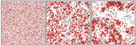 Simulated packing densities with regions of fast (gray) and slow (red) moving particles, with three different squares