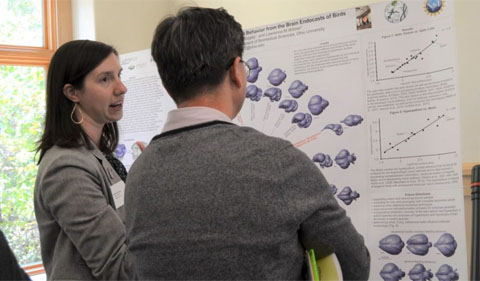 Ph.D. student Catherine Early presents her research to Biological Sciences professor Daewoo Lee. They are shown here standing in front of her poster.