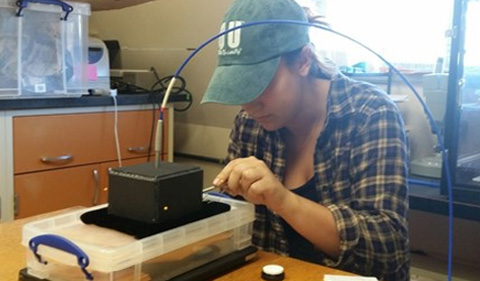 Reisenfeld using a spectrophotometer to measure brightness of bird feathers.