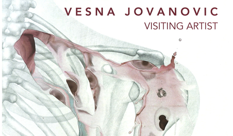 Illustration of shoulder bones and muscles by Visiting Artist Vesna Jovanovic