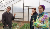 Food Matters students at Green Edge Gardens