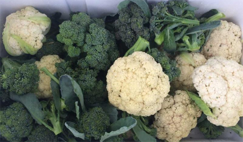 Photo of cauliflower and broccoli