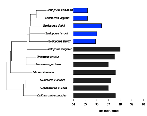 performance exhibits strong phylogenetic structure (λ=0.99, P<0.001).