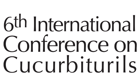6th International Conference on Cucurbiturils logo