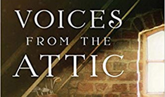 Voices From the Attic: The Williamstown Boys in the Civil War, book cover