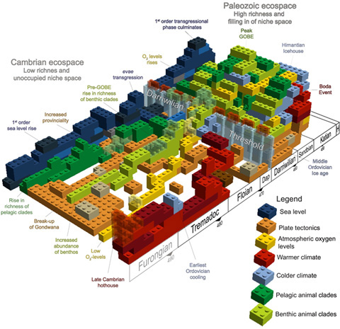 Building block model of the earth system that produced the Great Ordovician Biodiversificaiton Event. Figure from Stigall et al., 2019