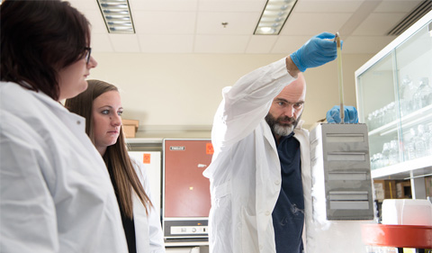 Dr. Ronan Carroll (right) works with lab students Rachel Zapf (Left) and Rebecca Keogh (Center) in his lab in the Life Sciences