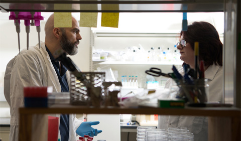 From left, Dr. Ronan Carroll talks with Ph.D. student Rachel Zapf in his lab in the Life Sciences Building on the Athens campus.